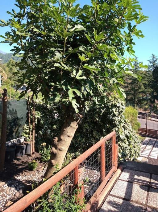Loft Sotto Il Vulcano, Con Posto Auto Privato 제프라나에트니아 외부 사진
